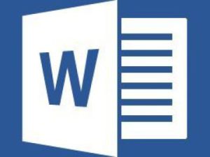 word 2013 logo overview